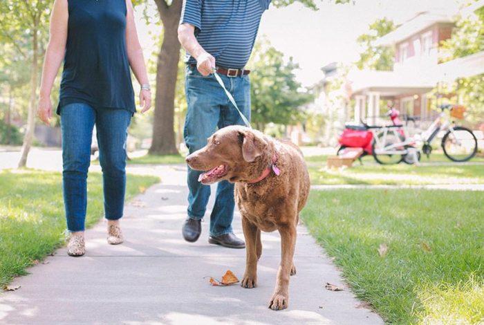 walking the dog